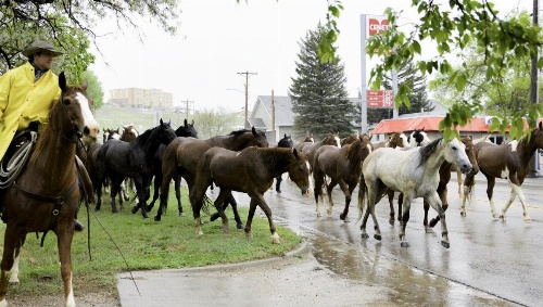 Americas Best Value Inn Sheridan image 16