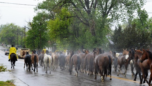 Americas Best Value Inn Sheridan image 18